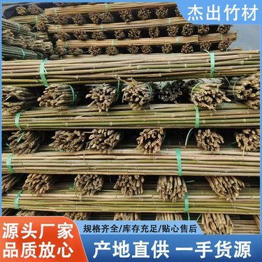 番茄架与勾花网 菜园里的黄金搭档