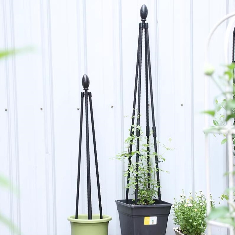 庭院绿意新篇章 巧用支架打造立体园艺空间