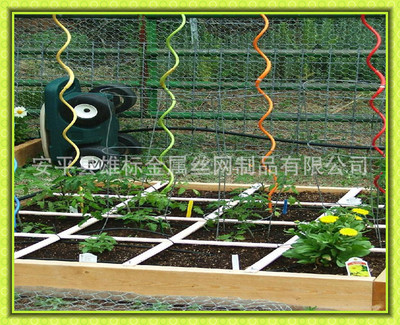 大棚种植新助力 解析不锈钢西红柿架与镀锌螺旋支架的应用与优势