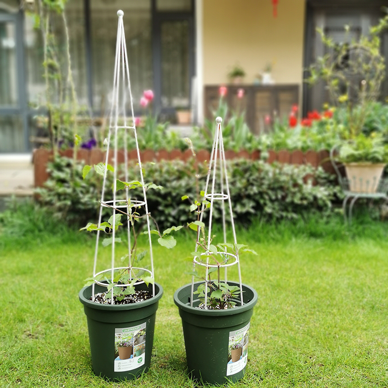 欧式铁艺爬藤花架 优雅与实用的植物支撑解决方案