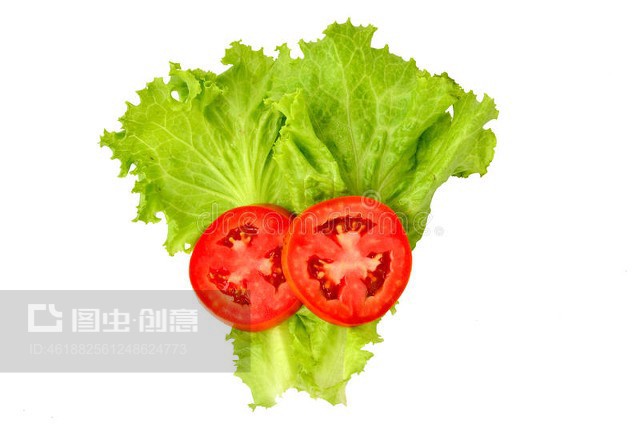 生菜配番茄架 现代农业的创意组合与高效种植